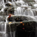 Sharon Wood Photo 18