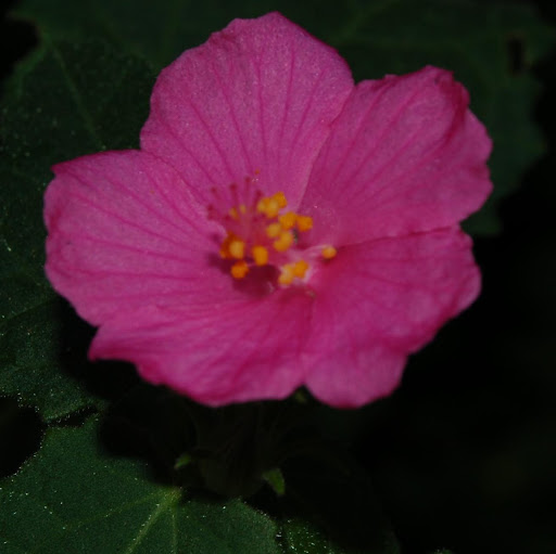Beth Ebert Photo 6