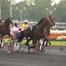Roberta Trotter Photo 12
