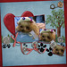 Denise Steffen Photo 21