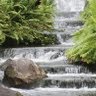 Donna Chapman Photo 28