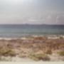 Wayne Lane Photo 32