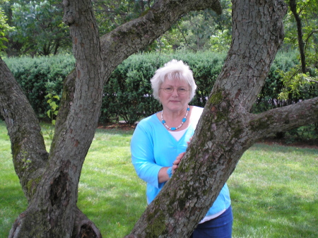 Linda Robertson Photo 19