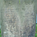 Gregory Graves Photo 41