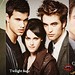 Kristen Moyer Photo 11