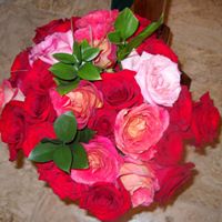 Linda Tanner Photo 20
