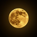 Martin Moon Photo 13