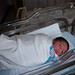 Alpesh Patel Photo 30