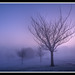 Misty Simon Photo 26