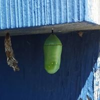 Steve Schlicht Photo 5