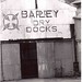 Barry Bailey Photo 33