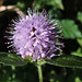 Ovid Hunt Photo 1