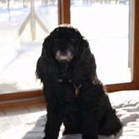 Nancy Daniels Photo 39