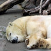 Robert Clapp Photo 11