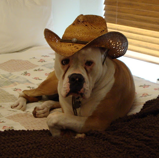 Jackie Frazier Photo 2