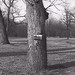 Robert Arnold Photo 41