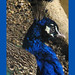 Paula Holt Photo 35