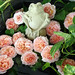 Teresa Craft Photo 21