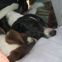 Lisa Newby Photo 12