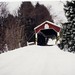 Richard Reichard Photo 15
