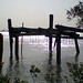 Alice Thompson Photo 7