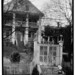 Stuart Robertson Photo 37