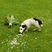 Enid Martin Photo 13