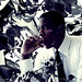 Justin Richardson Photo 42