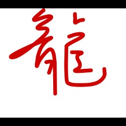 Bingjie Lin Photo 3