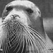 Lynda Seal Photo 14