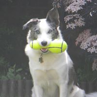 Tracey Warner Photo 5