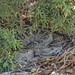 Katherine Steelman Photo 6