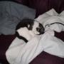 Linda Cates Photo 15