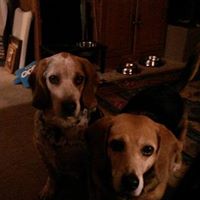 Michelle Songer Photo 4