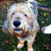 Heidi Moses Photo 8