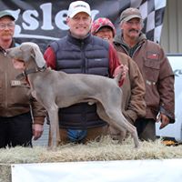 Duane Yoder Photo 24