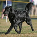 Joy Gillespie Photo 1