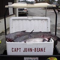 John Beane Photo 27