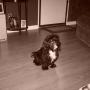 Teresa Harrelson Photo 17