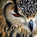William Feathers Photo 11