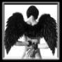 Gina Gillis Photo 17