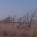Robert March Photo 23