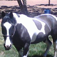 Lucy Strong Photo 20