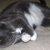 Rebecca Bunner Photo 1