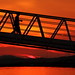 See Lim Photo 14