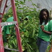 Morris Horton Photo 14