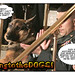 Rex Bush Photo 8