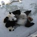 Yang Fu Photo 11