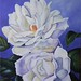 Rose Demasi Photo 9