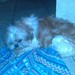 Ralph Sia Photo 8